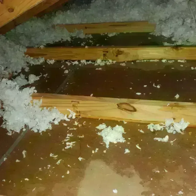 Attic Water Damage in Linden, MI