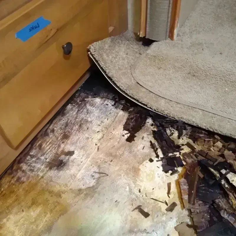 Best Wood Floor Water Damage Service in Linden, MI